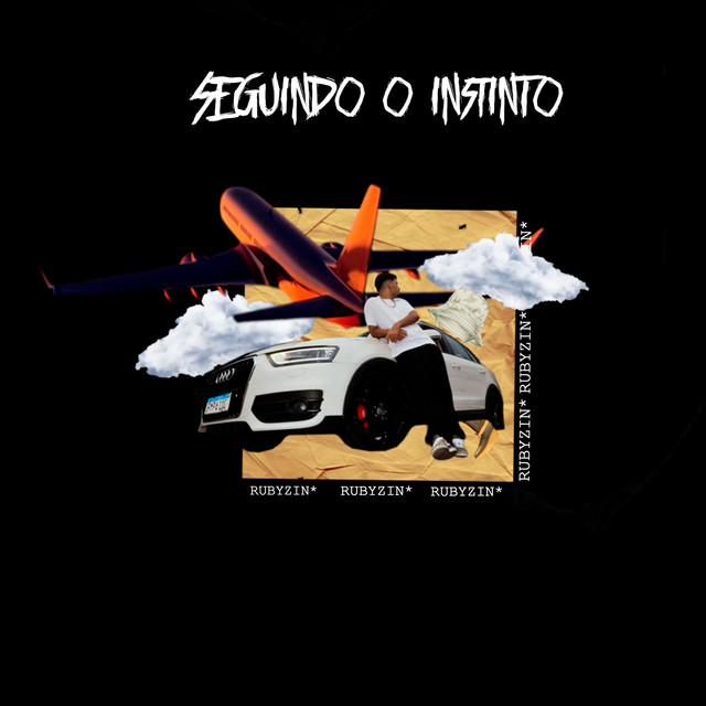 Seguindo o Instinto cover art