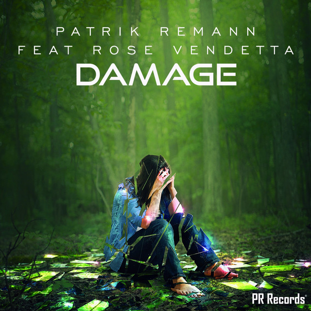 Damage cover art