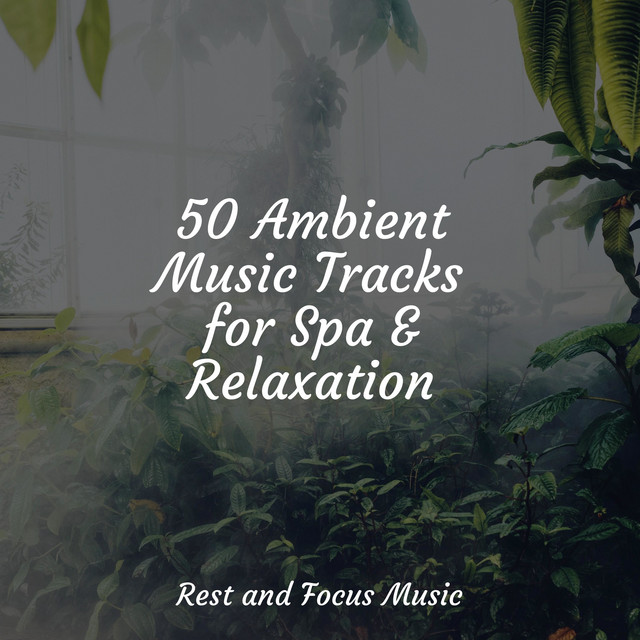 50 Ambient Music Tracks for Spa & Relaxation - Album by Life Sounds ...