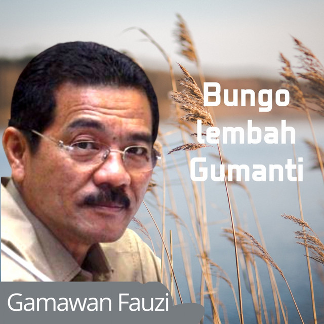 Gamawan Fauzi