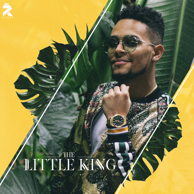 The Little King cover art