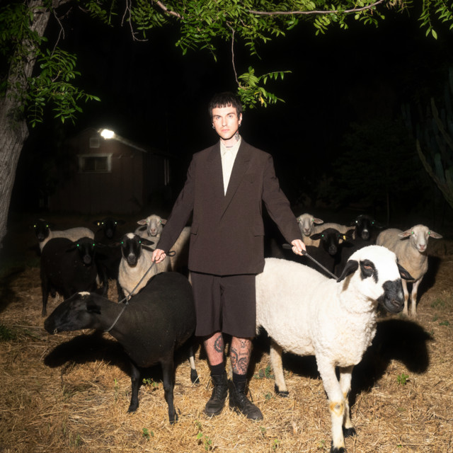 Love Psychosis album image