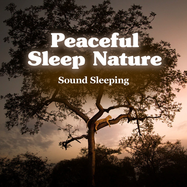 Peaceful Sleep Nature - Album by Sound Sleeping | Spotify