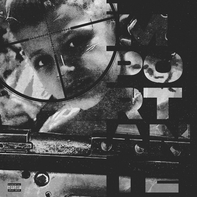 IMPORTANTE cover art