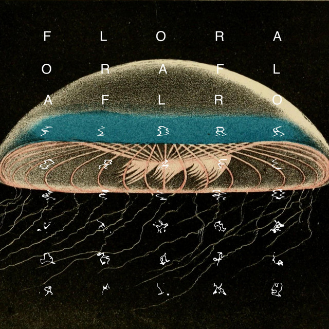 The Bottom cover art