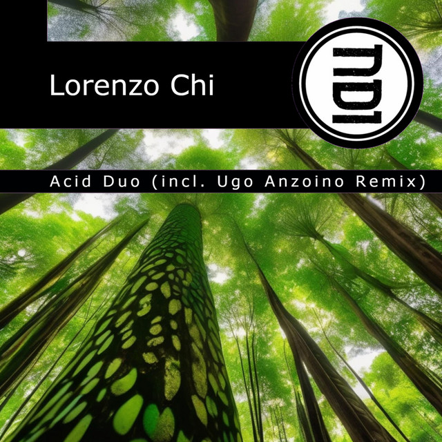 Acid Duo (Incl Ugo Anzoino Remix) cover art