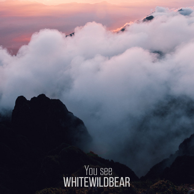 You See - Single by Whitewildbear | Spotify