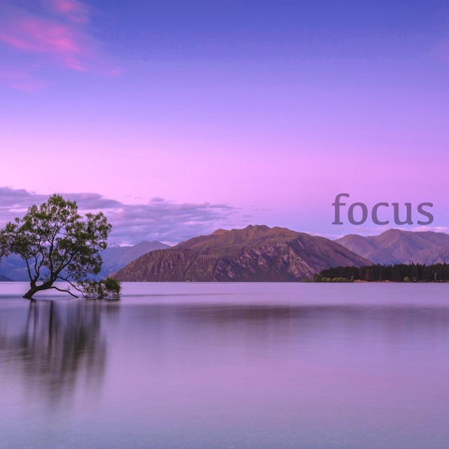 focus cover art