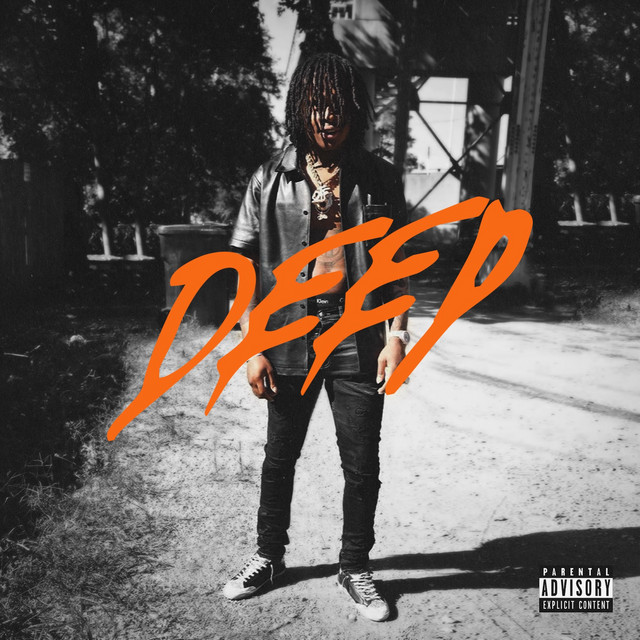 Deep cover art