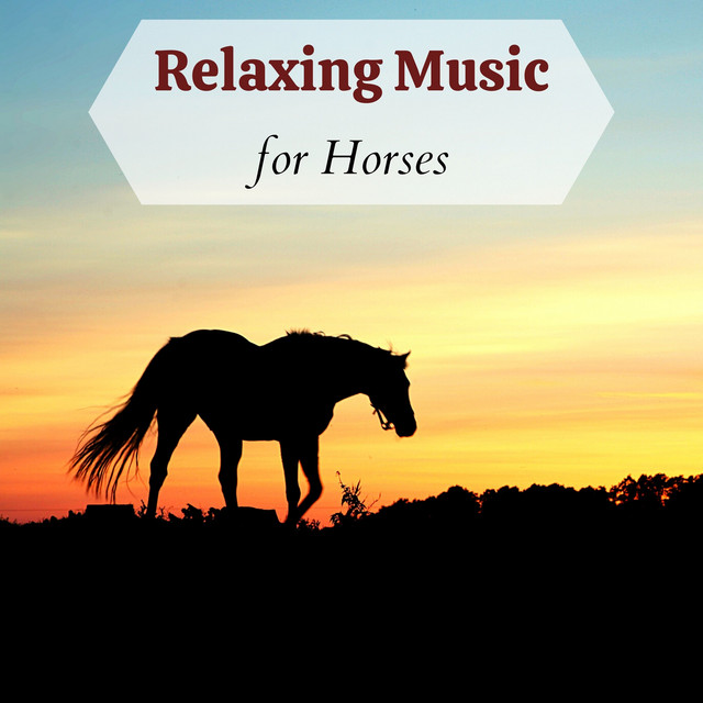 Relaxing Music for Horses - Songs for Sleeping Problems or Anxiety cover art