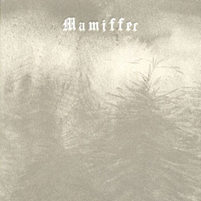 Hirror Enniffer cover art