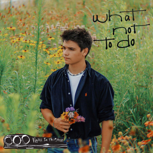 What Not to Do cover art