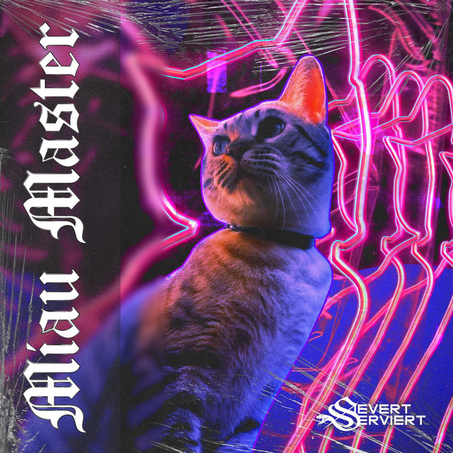 Miau Master cover