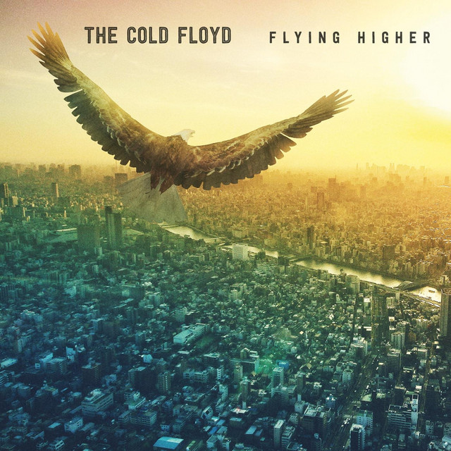 Flying Higher cover art