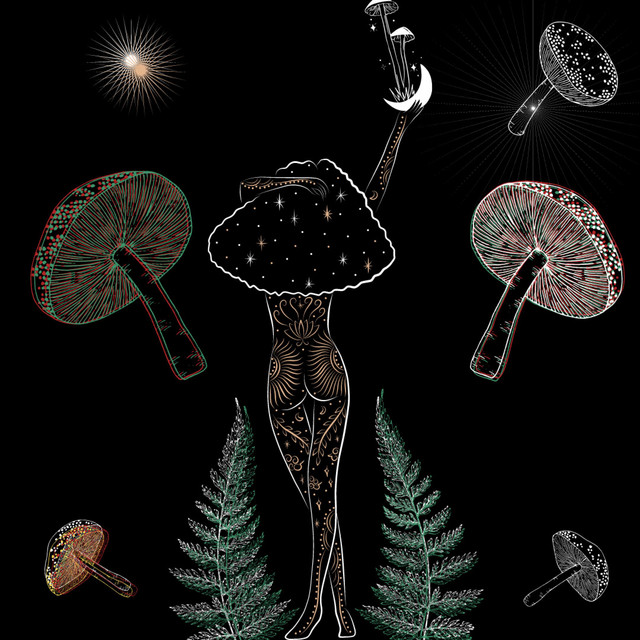 medicine cover