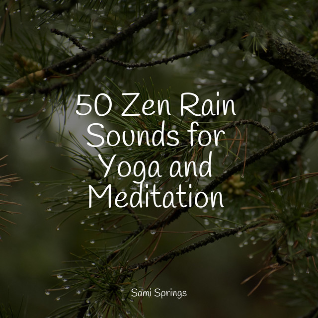 50 Zen Rain Sounds for Yoga and Meditation - Album by Ambientalism ...