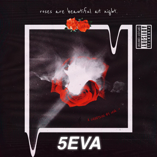 Roses are Beautiful at Night cover art
