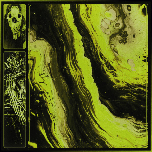 Dissonance cover art