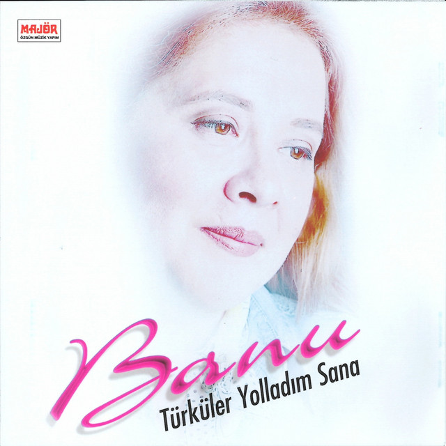 Türküler Yolladım Sana album image