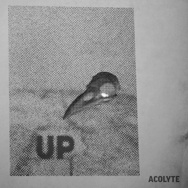 Up cover art