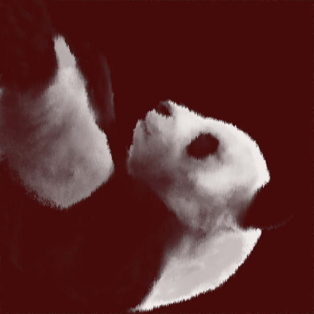 ハイネ cover art