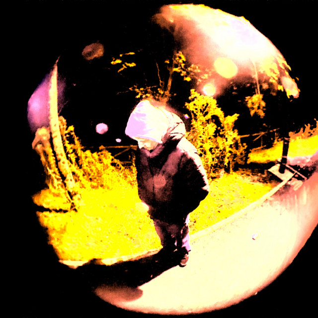 Recamara cover art