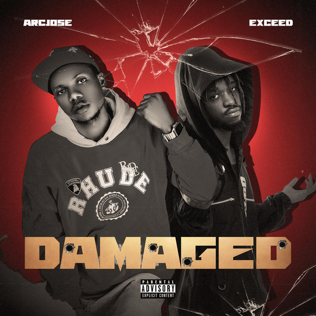 DAMAGED album image