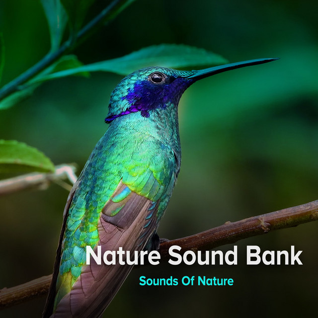 Nature Sound Bank - Album by Sounds of Nature | Spotify