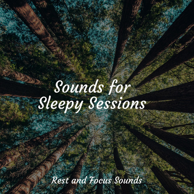 Sounds for Sleepy Sessions - Album by Deep Sleep | Spotify
