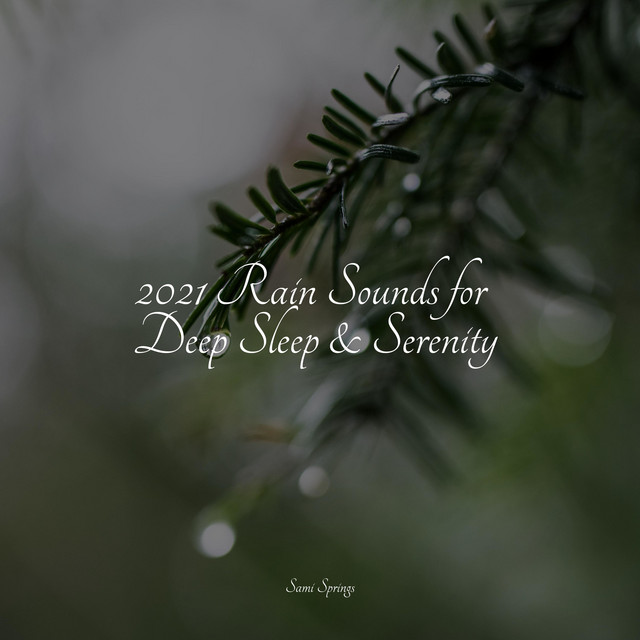 2021 Rain Sounds for Deep Sleep & Serenity - Album by Natural Nature ...