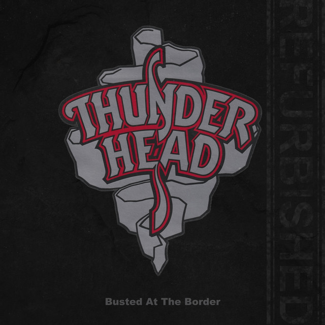 Busted At The Border (refurbished 2025) cover
