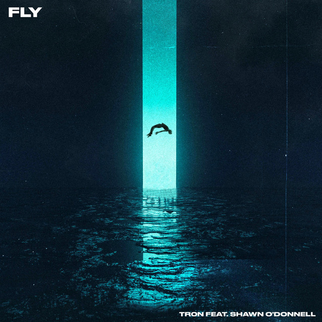 Fly