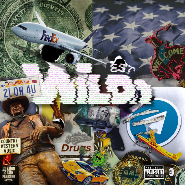 WILD’N WEST’N cover art