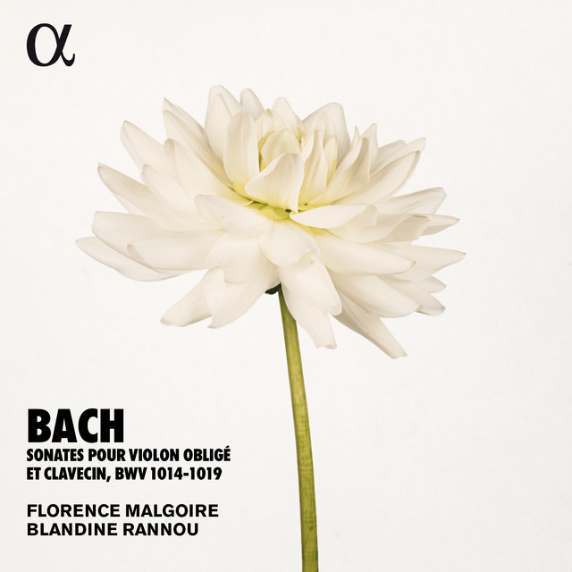 Sonates pour violon obligé et clavecin, BWV 1014-1019