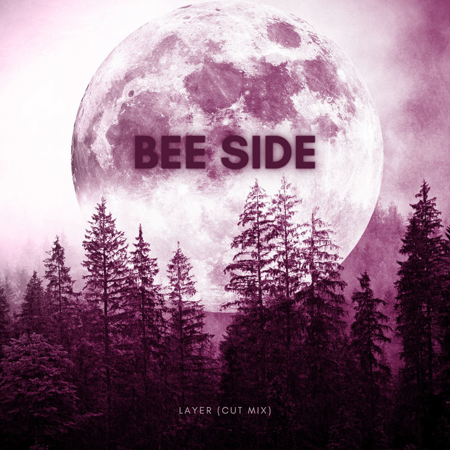 Layer cover art