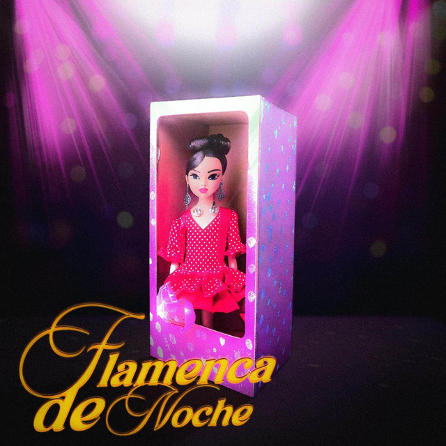 FLAMENCA DE NOCHE