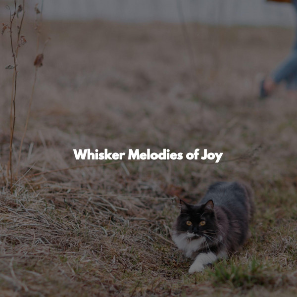 Smoky Moods for Jazzy Horizons