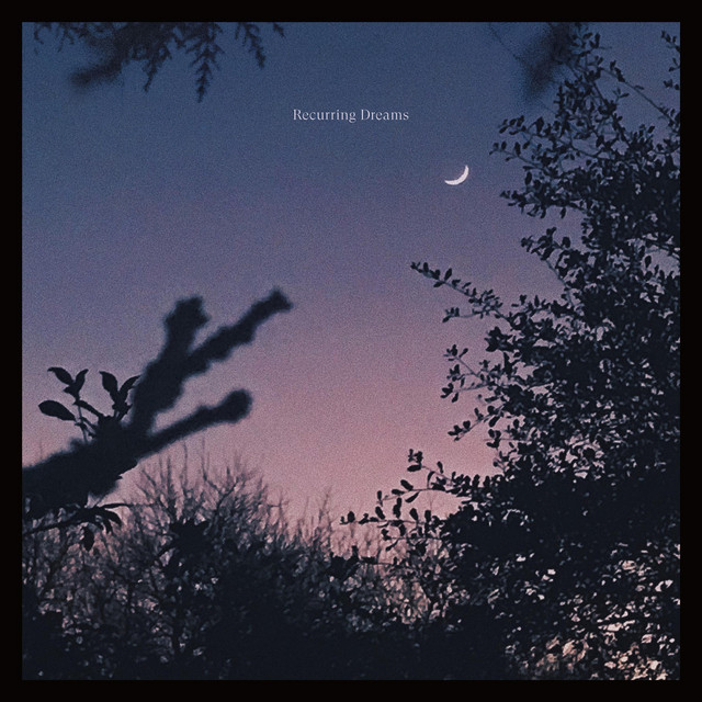 The Risk Of Dreaming - Recurred
