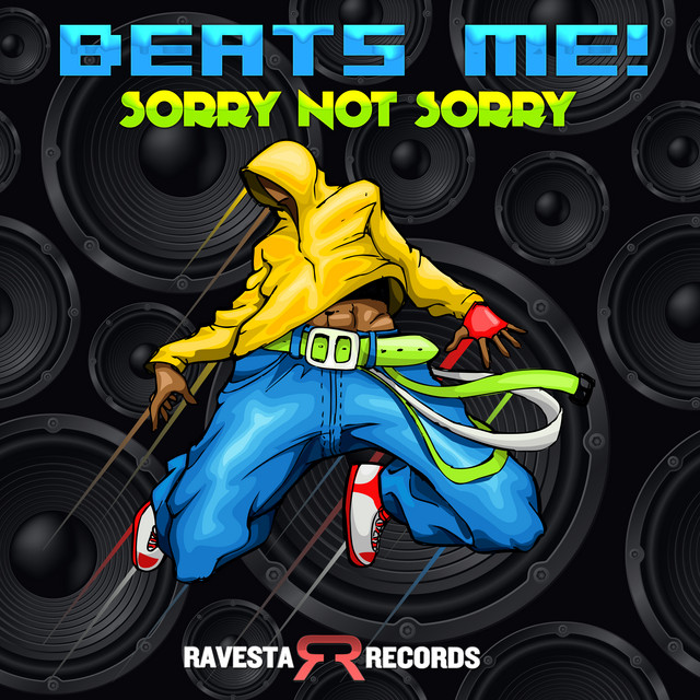 Sorry Not Sorry album art