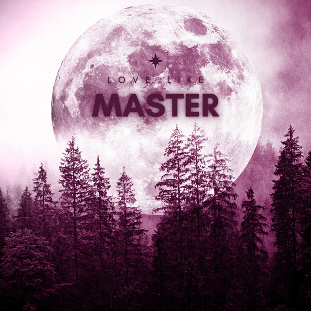 Love Like Master cover art