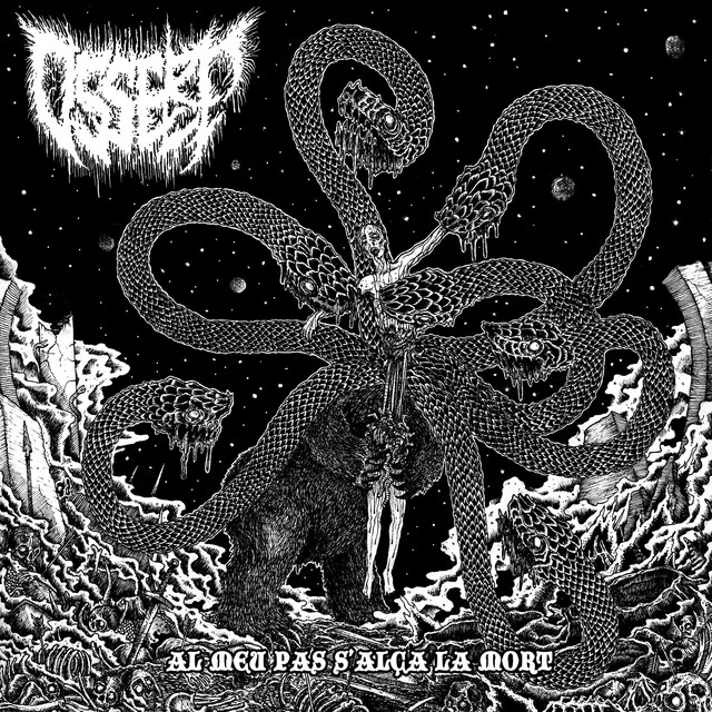 AL MEU PAS S'ALÇA LA MORT cover