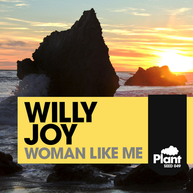 Woman Like Me cover art