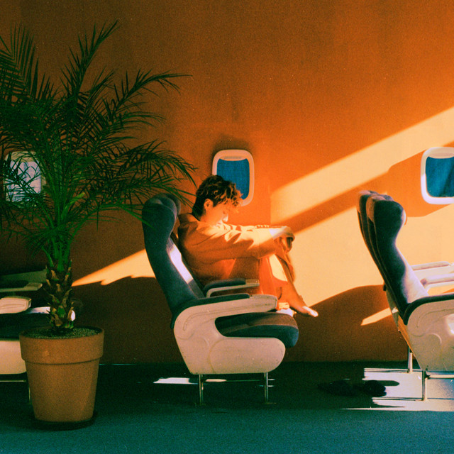 VIDA cover art