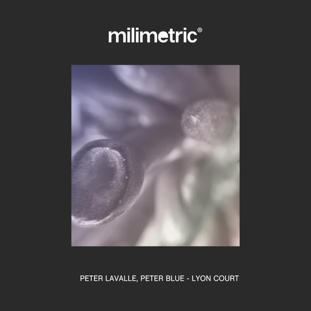 Lyon Court cover