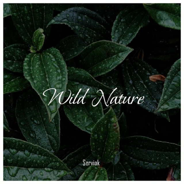 Wild Nature cover art