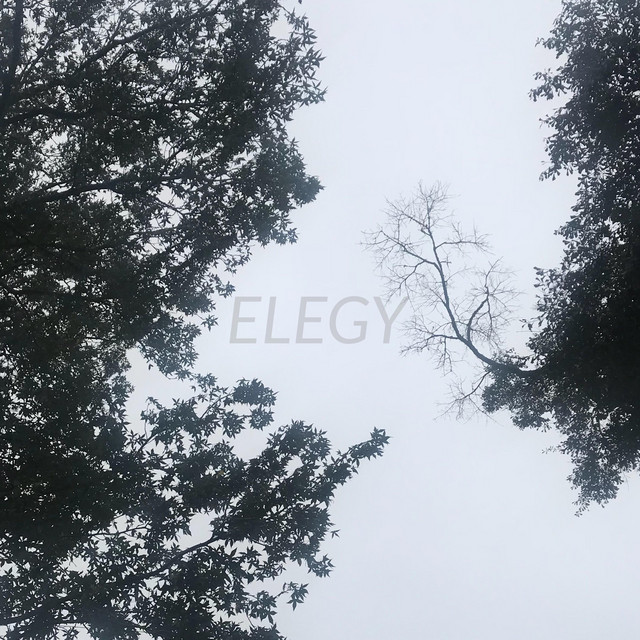 Elegy cover art