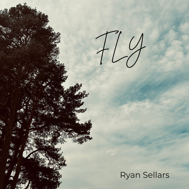 Fly cover