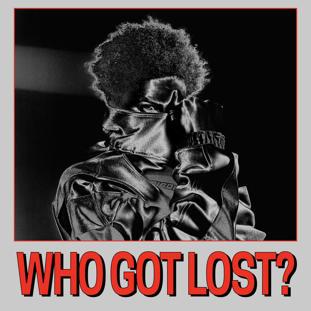 Pochette de WHO GOT LOST?