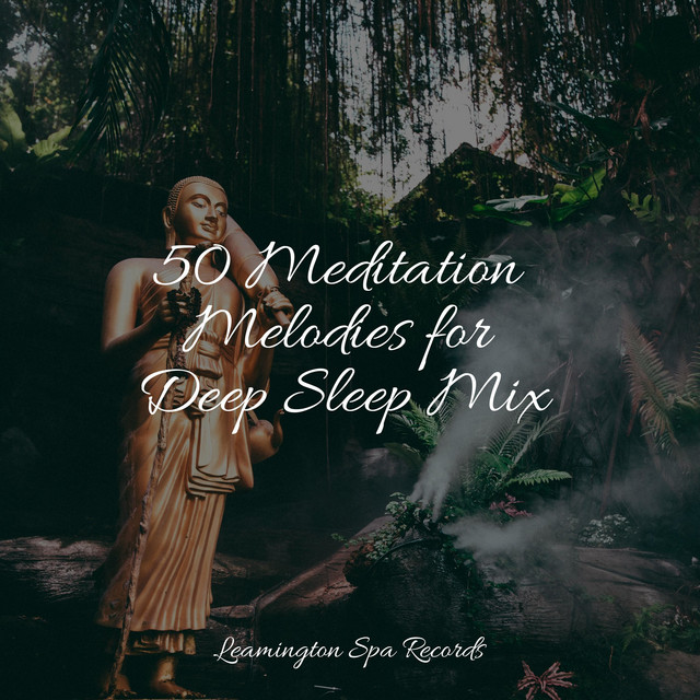 50 Meditation Melodies for Deep Sleep Mix - Album by Lluvia PQ | Spotify