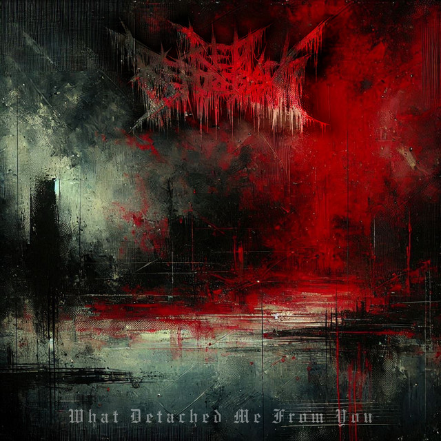 What Detached Me From You cover